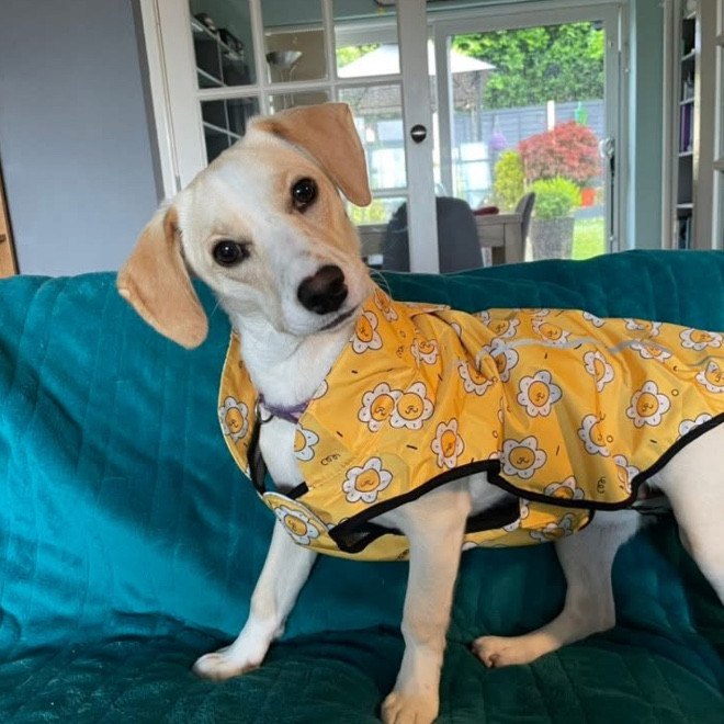 Sarah and Indie ( and sometimes Coco)