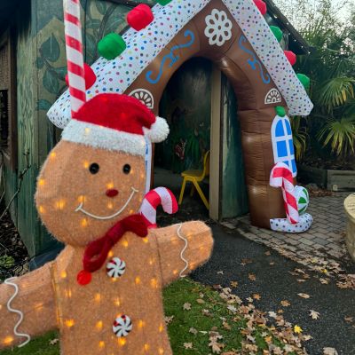 Friday Elf Trail 2025