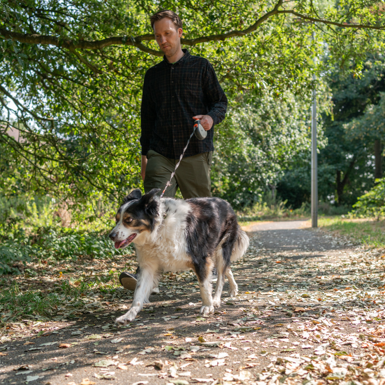man walking collie dog