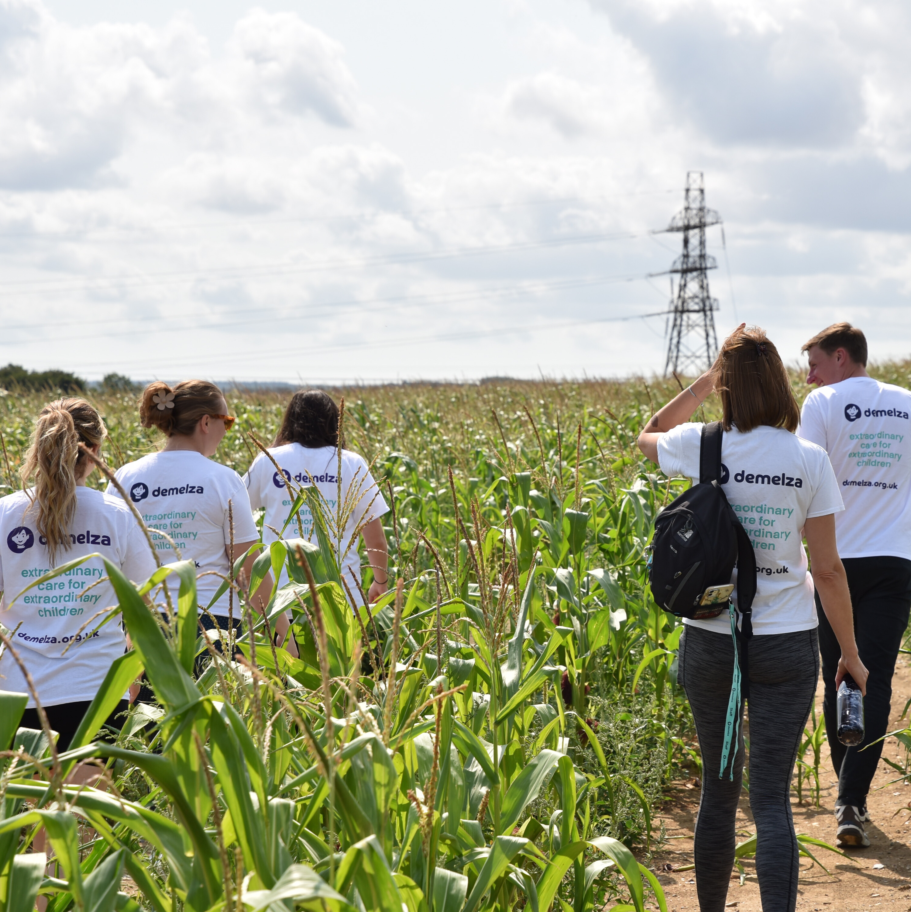 Group of people walking through a cornfield wearing Demelza charity t-shirts, with an electrical tower in the background under a partly cloudy sky.