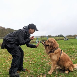 Rosemary Cooper-Clark