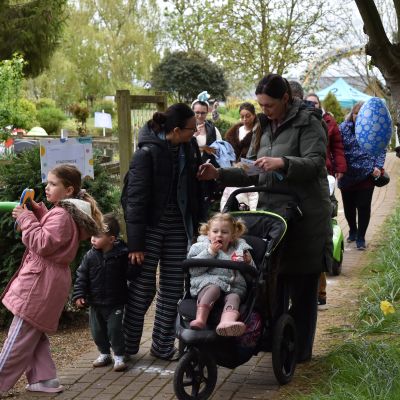 Family Fun Day