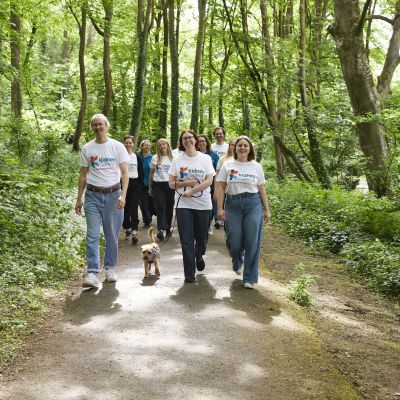 Walk the Parks Virtual