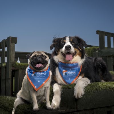 October Dog Walk Challenge