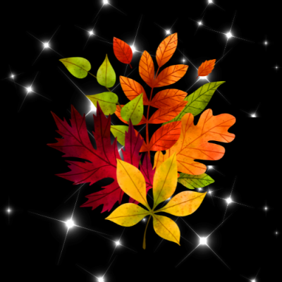 Autumn Ball 2026