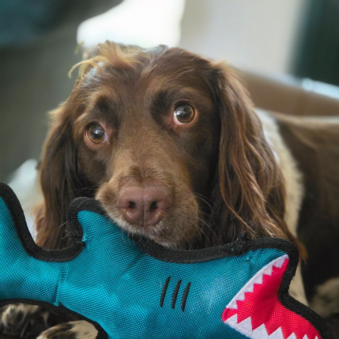 Claire Earls-Gleghorn