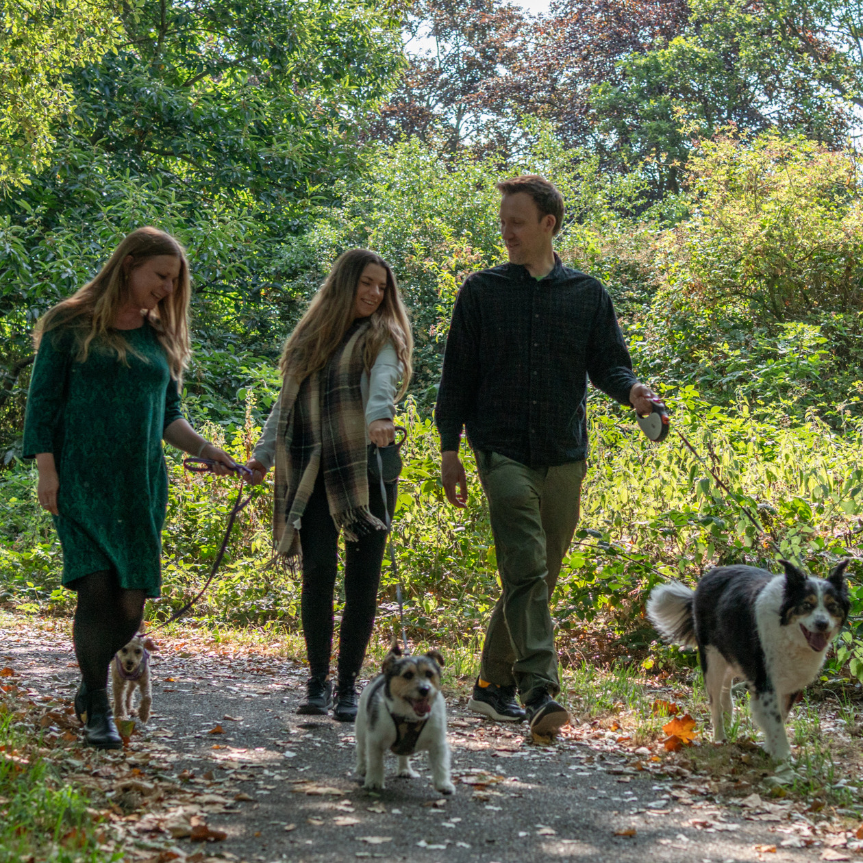 group of people walking dogs