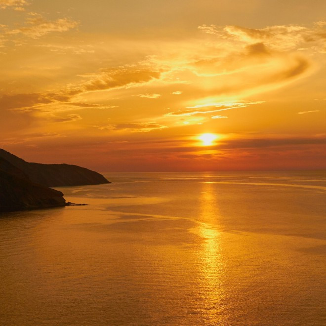 Jacqueline McEneaney