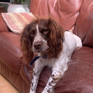 Briony Hosford