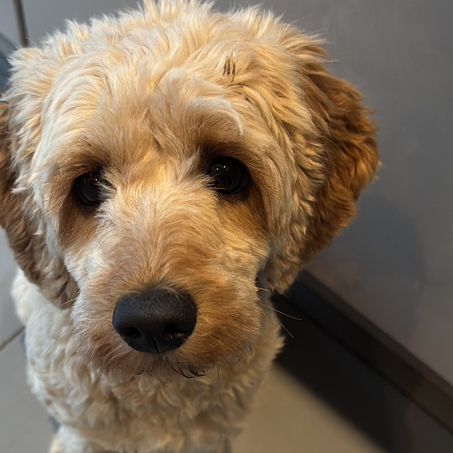 Kiersty Sinclair-Davies