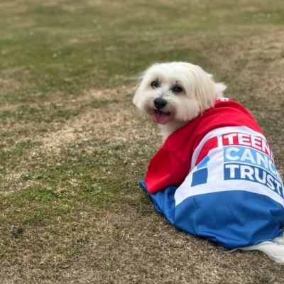 Walk 60 miles with your dog in September