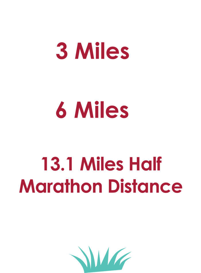 The Myton Hospices - Walk for Myton - Routes
