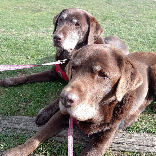 Bernadette Griffiths