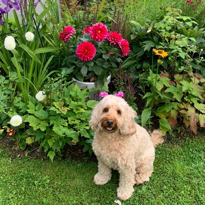 Daisy & Caroline 🐾 ❤️