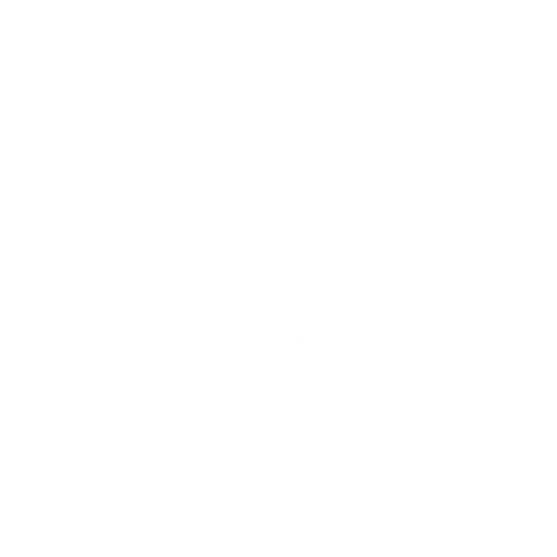 The Myton Hospices - Walk for Myton - Dog Walking