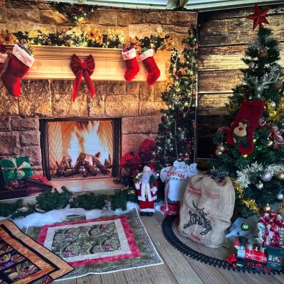 This Christmas at Demelza