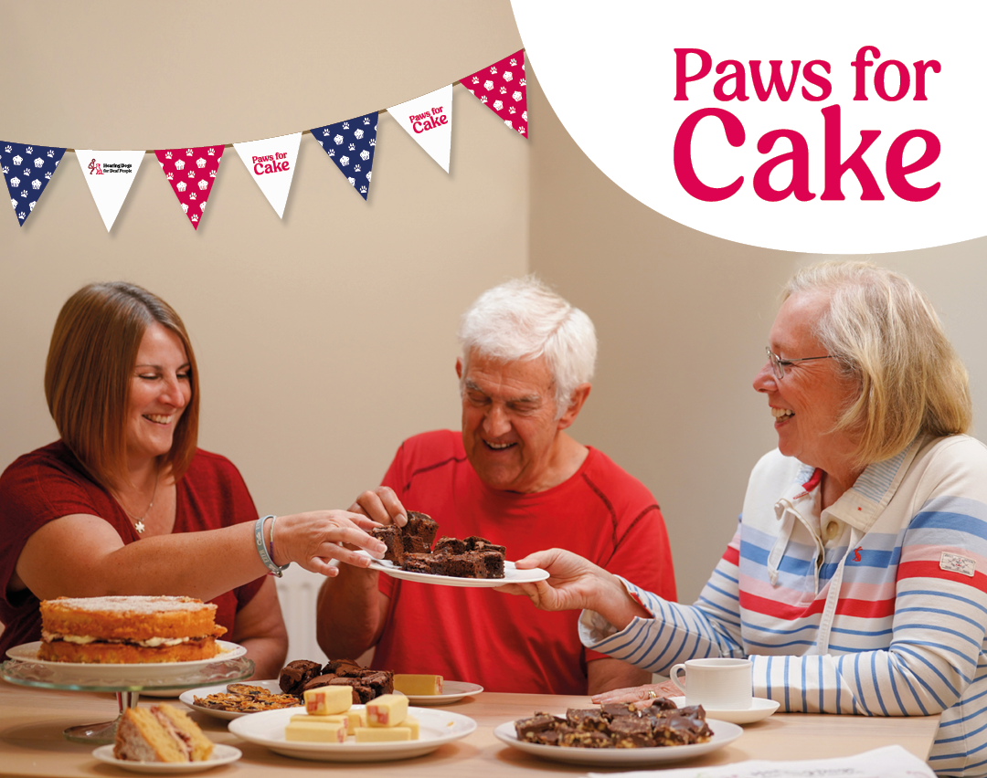 Paws for Cake