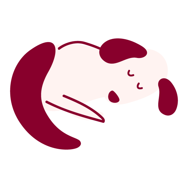 sleeping dog