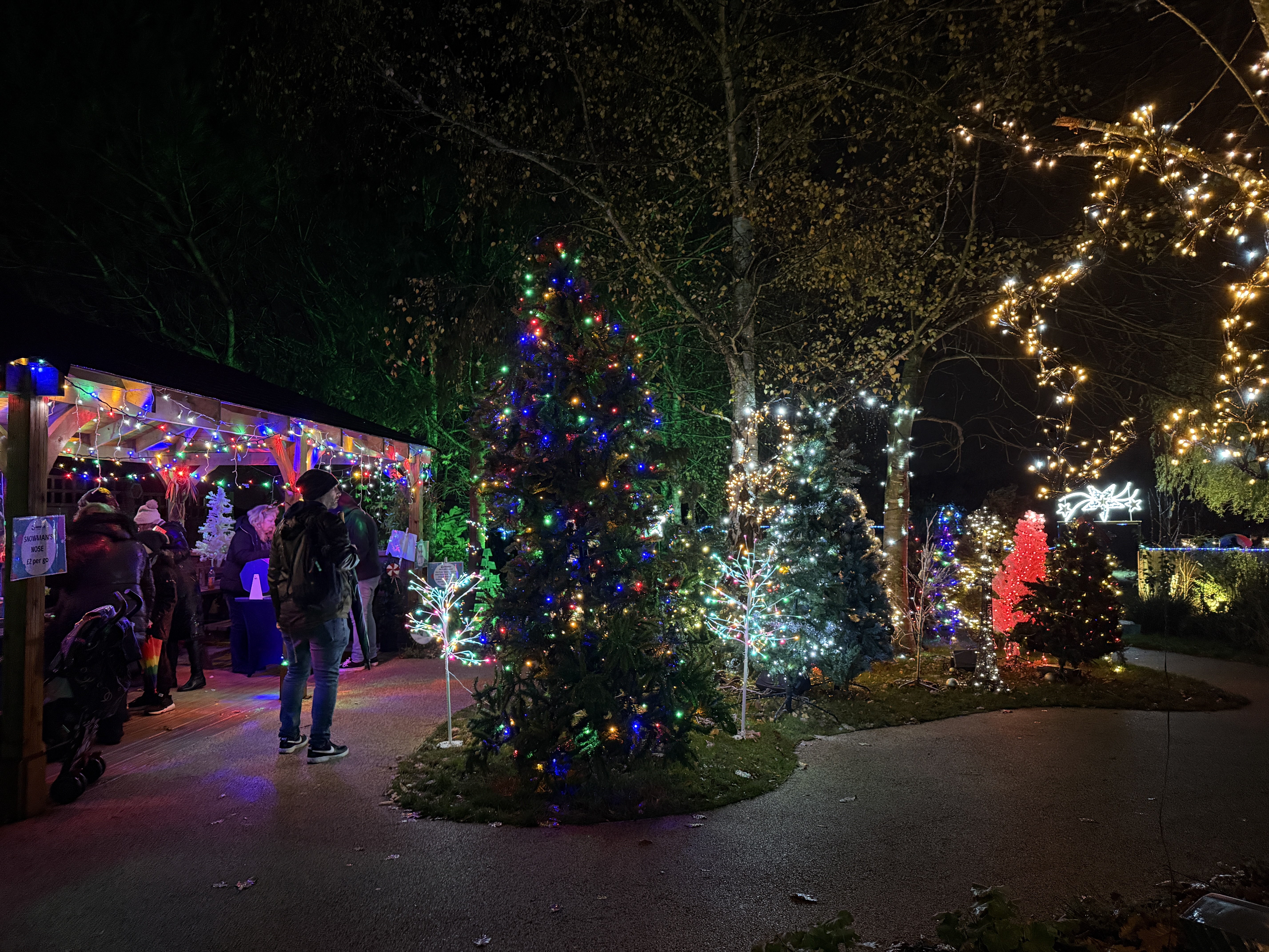 Christmas festive garden scene