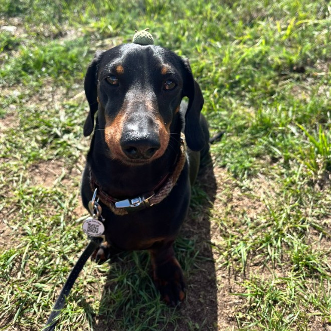 Kerry Spicer-Denford