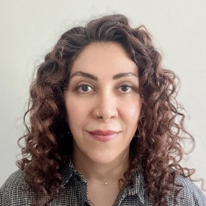 Bahareh saremi